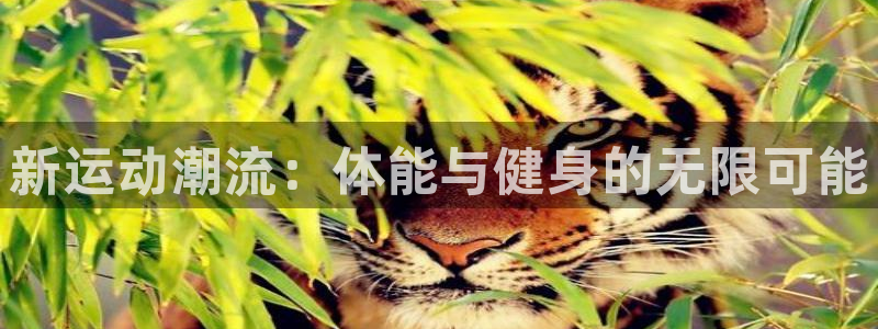 杏运汽车官网：新运动潮流：体能与健身的无限可能