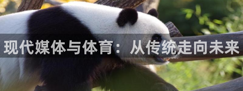 杏运f凯捷平台在线注册：现代媒体与体育：从传统走向未来