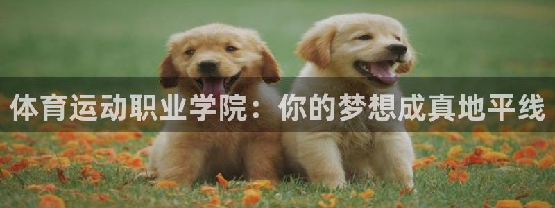 杏运体育注册登录入口：体育运动职业学院：你的梦想成真地平线