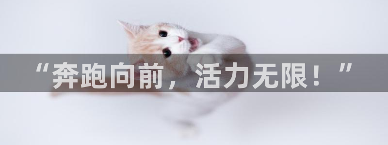 杏运达贝钙是正规品牌吗：“奔跑向前，活力无限！”