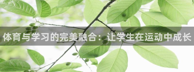 杏运2登录地址：体育与学习的完美融合：让学生在运动中成长