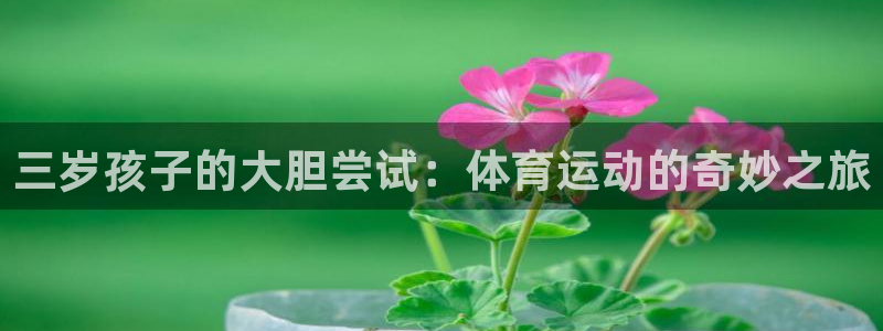杏运娱乐登录：三岁孩子的大胆尝试：体育运动的奇妙之旅