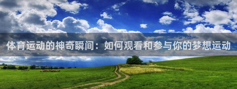 杏运2体育：体育运动的神奇瞬间：如何观看和参与你的梦想运动