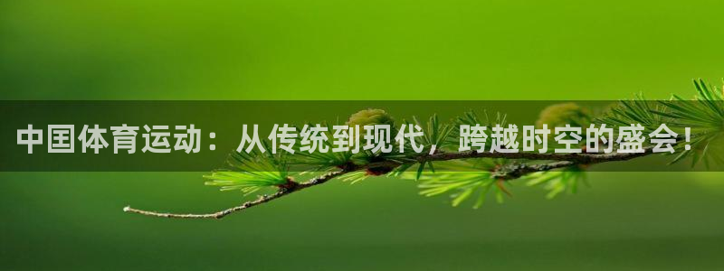 杏运新能源汽车可以上牌吗：中囯体育运动：从传统到现代，跨越时空的盛会！