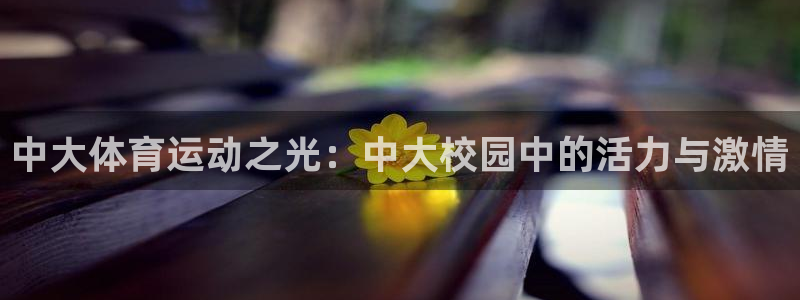 杏运体育1招商：中大体育运动之光：中大校园中的活力与激情