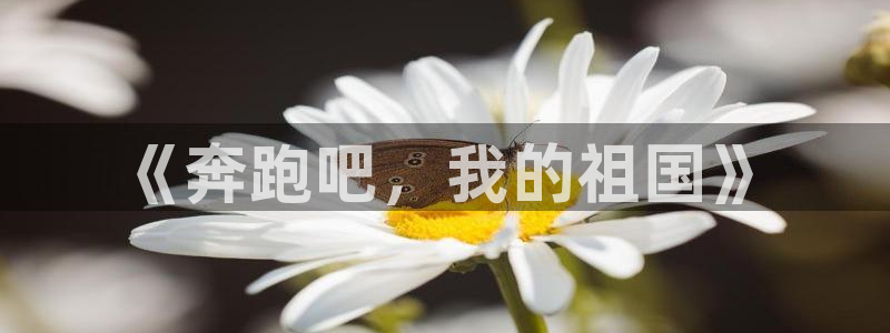 杏运vk：《奔跑吧，我的祖国》