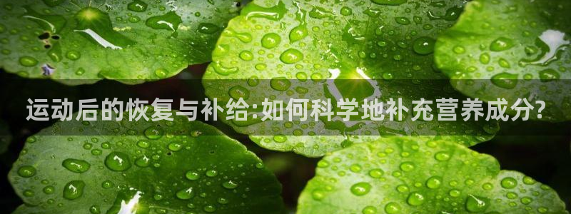 杏运2代理注册：运动后的恢复与补给:如何科学地补充营养成分?
