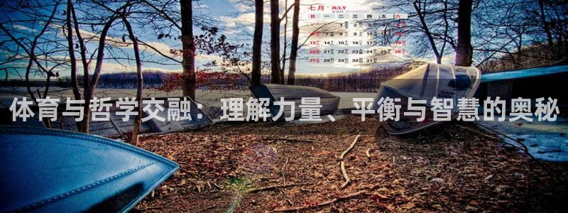 杏运体育凯捷平台注册：体育与哲学交融：理解力量、平衡与智慧的奥秘