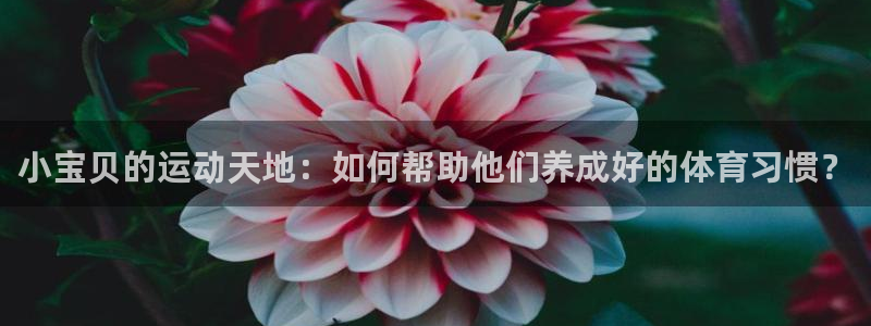 杏运体育凯捷平台注册：小宝贝的运动天地：如何帮助他们养成好的体育习惯？