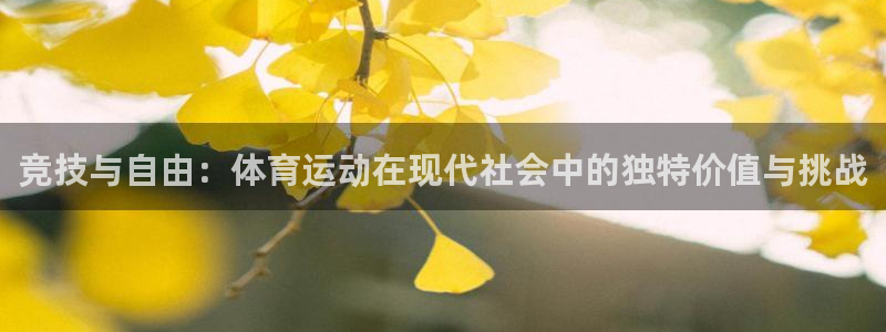杏运2代理注册：竞技与自由：体育运动在现代社会中的独特价值与挑战