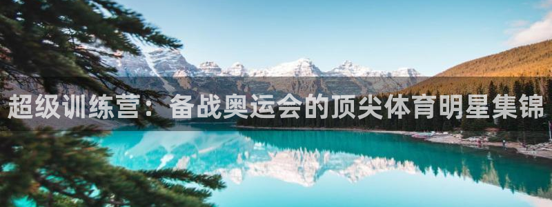 杏运代理：超级训练营：备战奥运会的顶尖体育明星集锦