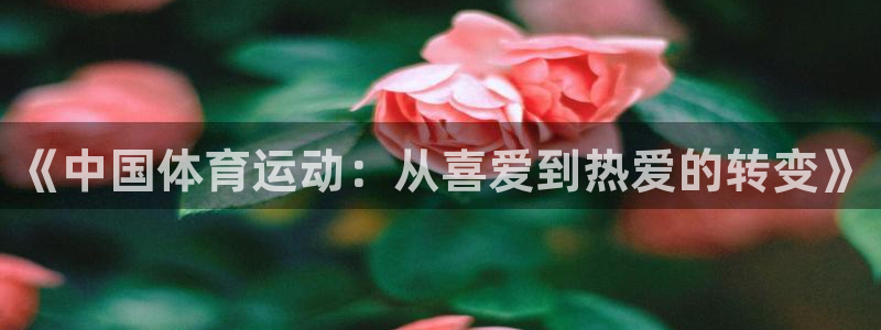 杏运5招商：《中国体育运动：从喜爱到热爱的转变》