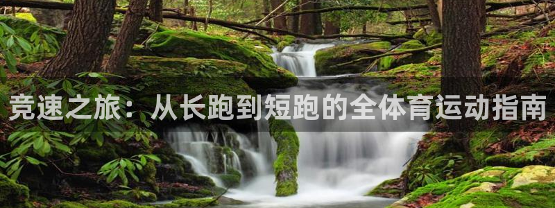 杏运登录注册：竞速之旅：从长跑到短跑的全体育运动指南