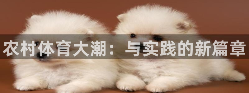 杏运2体育登录入口：农村体育大潮：与实践的新篇章