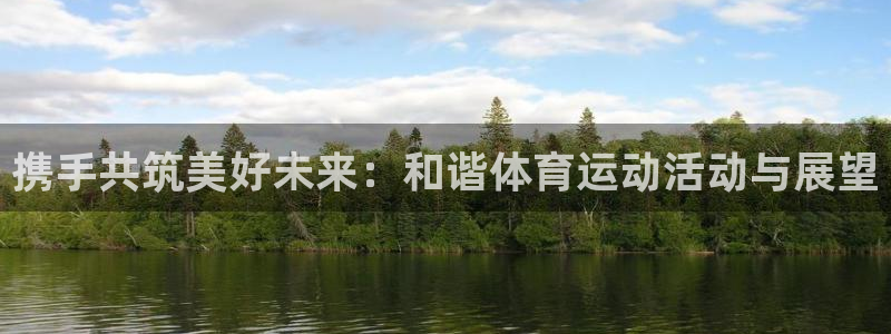 杏运代理：携手共筑美好未来：和谐体育运动活动与展望