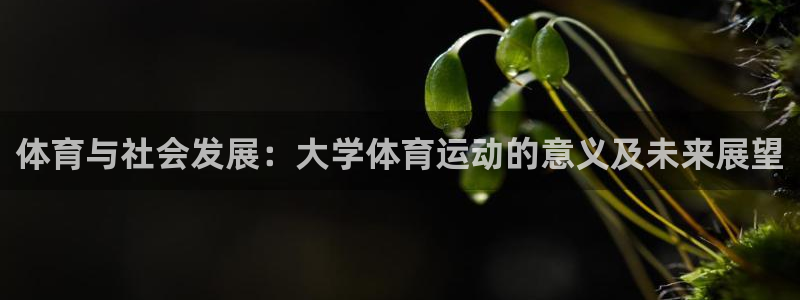 杏运体育论坛：体育与社会发展：大学体育运动的意义及未来展望
