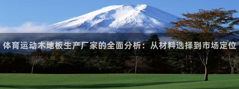www.杏运体育.com：体育运动木地板生产厂家的全面分析：从材料选择到市场定位