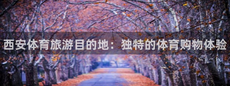 杏运体育3在线注册：西安体育旅游目的地：独特的体育购物体验