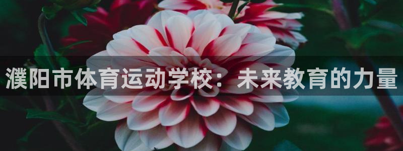 杏运娱乐注册：濮阳市体育运动学校：未来教育的力量