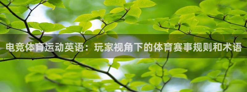 杏运娱乐登录：电竞体育运动英语：玩家视角下的体育赛事规则和术语
