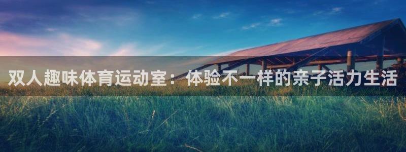上海杏运汽车电子有限公司：双人趣味体育运动室：体验不一样的亲子活力生活