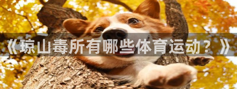 杏运体育和杏耀是哪个公司的：《琼山毒所有哪些体育运动？》