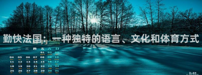 杏运4平台注册：勤快法国：一种独特的语言、文化和体育方式