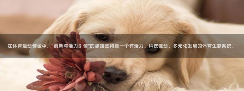 杏运2官网：在体育运动领域中，\