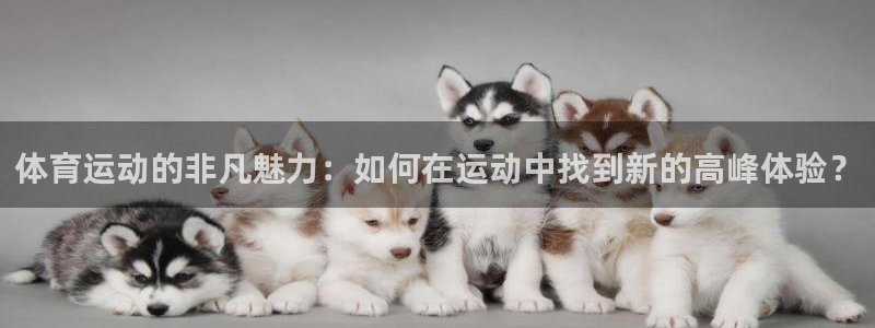 杏运娱乐怎么样：体育运动的非凡魅力：如何在运动中找到新的高峰体验？