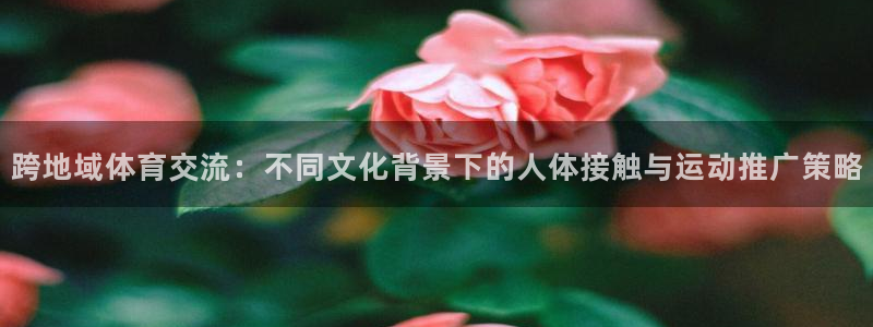 杏运f凯捷注册：跨地域体育交流：不同文化背景下的人体接触与运动推广策略