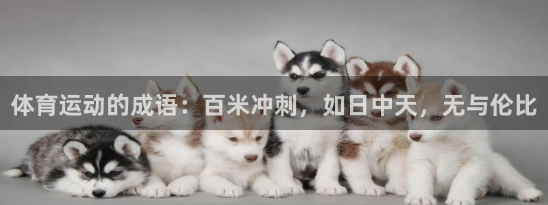 杏运平台注册：体育运动的成语：百米冲刺，如日中天，无与伦比