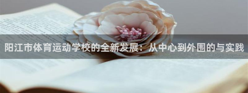 成都杏运电子有限公司：阳江市体育运动学校的全新发展：从中心到外围的与实践